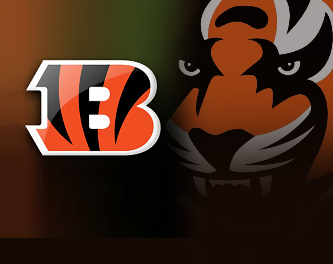 BengalsEmailImage